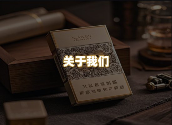 关于我们
